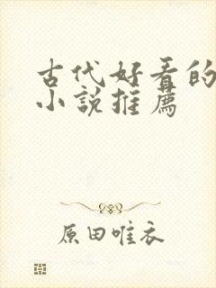 古代好看的言情小说推荐封面