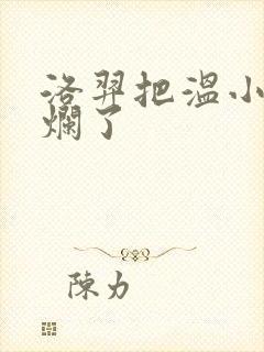 洛羿把温小辉做烂了封面