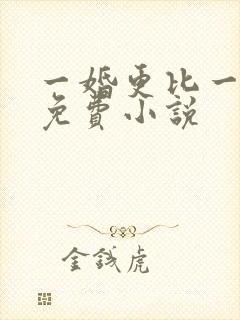 一婚更比一婚高免费小说