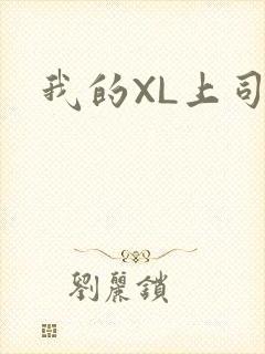我的XL上司封面