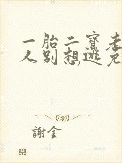 一胎二宝老婆大人别想逃免费阅读