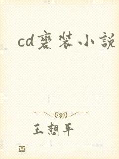 cd变装小说封面