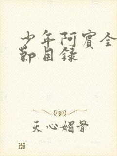 少年阿宾全文章节目录