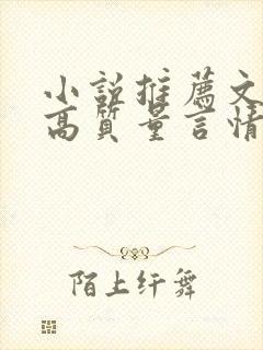 小说推荐文笔好高质量言情