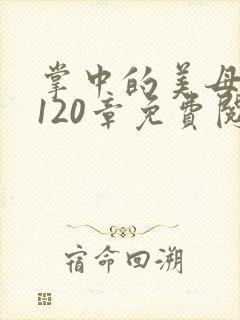 掌中的美母版主120章免费阅读