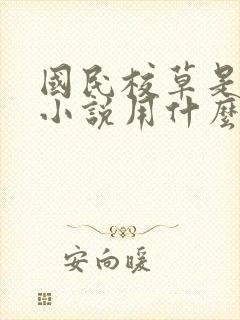 国民校草是女生小说用什么app可以免费