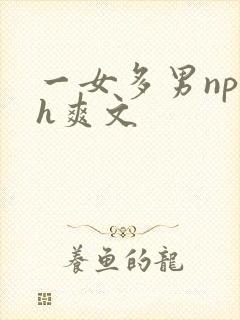 一女多男np高h爽文封面