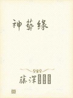 神艺缘封面