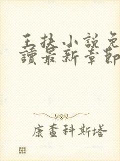 王扶小说免费阅读最新章节无弹窗封面