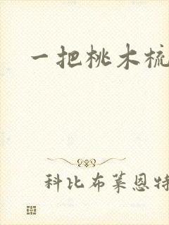 一把桃木梳封面