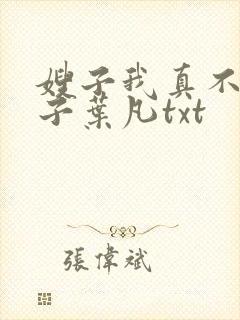 嫂子我真不是傻子叶凡txt