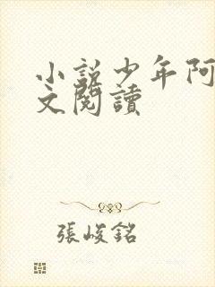 小说少年阿斌全文阅读