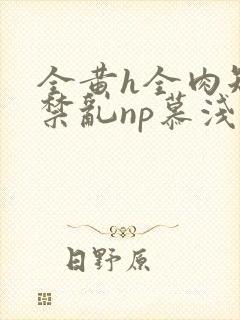 全黄h全肉短篇禁乱np慕浅浅