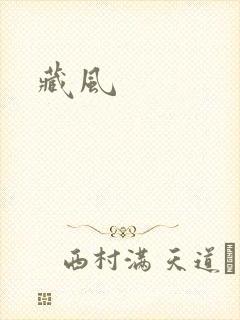 藏风封面