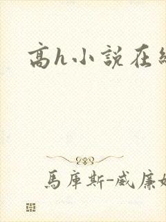 高h小说在线看
