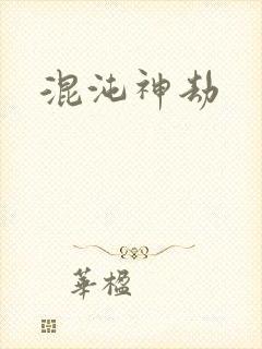 混沌神劫封面