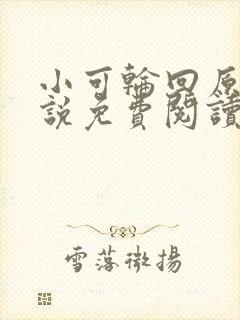 小可轮回原著小说免费阅读封面
