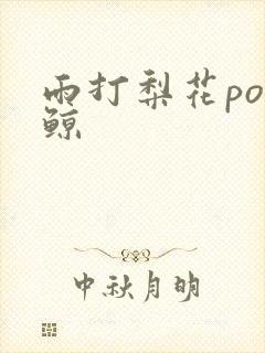 雨打梨花po问鲸