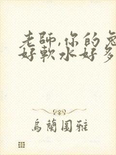老师,你的兔子好软水好多