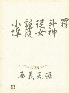 小说从斗罗开始俘获女神