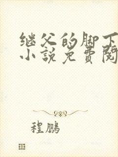继父的脚下王浩小说免费阅读