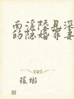 南溪陆见深陆少的隐婚罪妻封面