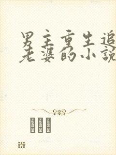 男主重生追前世老婆的小说