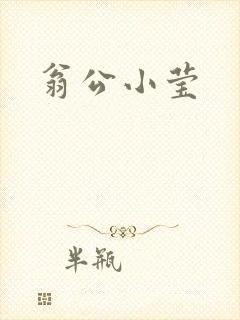 翁公小莹