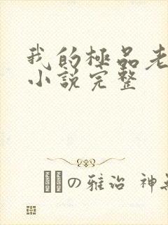 我的极品老婆 小说完整封面