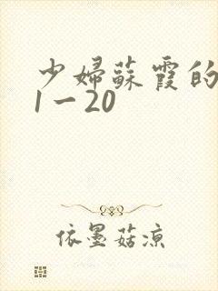 少妇苏霞的沉沦1一20