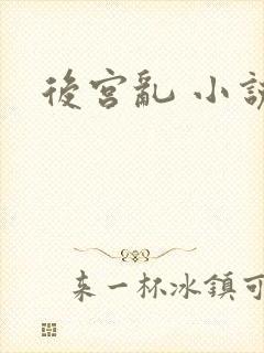 后宫乱 小说