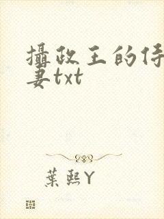 摄政王的侍爱逃妻txt封面