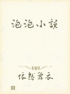 泡泡小说