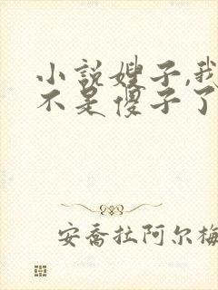 小说嫂子,我真不是傻子了免费阅读