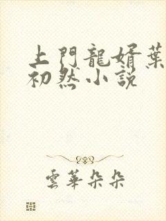 上门龙婿叶晨萧初然小说