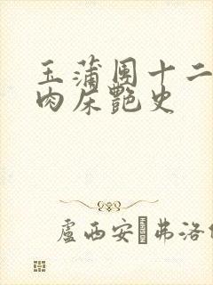 玉蒲团十二寡妇肉床艳史封面