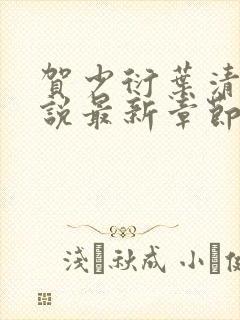 贺少衍叶清栀小说最新章节免费阅读