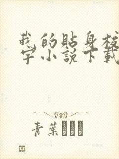 我的贴身校花唐宇小说下载
