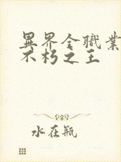 异界全职业大师不朽之王