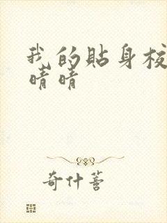 我的贴身校花黄晴晴