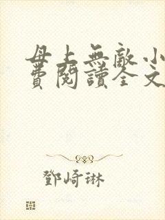 母上无敌小说免费阅读全文最新章节