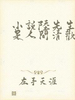 小说陆先生,你是人间清欢处主角