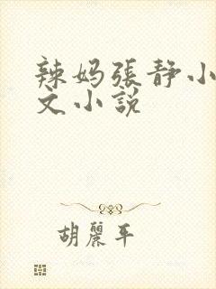 辣妈张静小说全文小说
