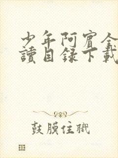 少年阿宾全文阅读目录下载