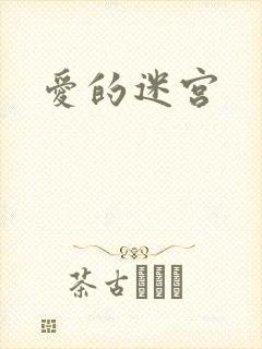 爱的迷宫