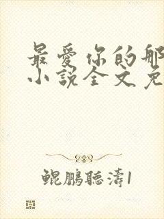 最爱你的那十年小说全文免费封面