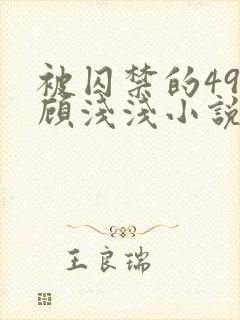 被囚禁的49天顾浅浅小说封面