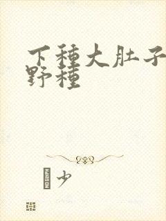 下种大肚子怀孕野种封面