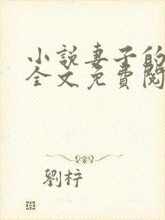 小说妻子的秘密全文免费阅读全文