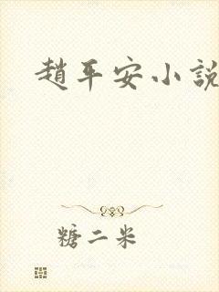 赵平安小说主角